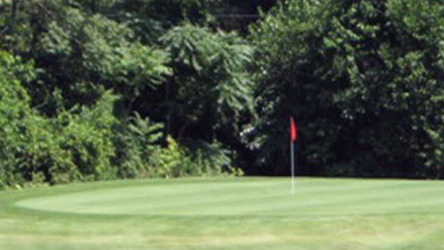 A view of a green at Collins Park Golf Course