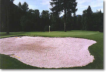 Tokatee Golf Club - Reviews & Course Info | GolfNow