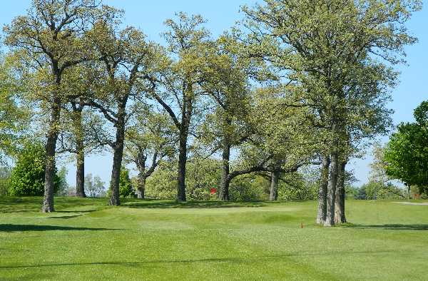 A view of a green from Oak Springs Golf Course