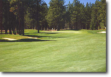 Hole #1 is a slight dogleg left. Your tee shot should favor the right side of the fairway to open up your approach shot.