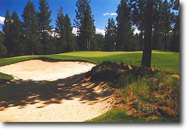 Widgi Creek #12: Hole #12 is a dogleg left with thick trees lining both sides of the fairway all the way to the green. One bunker to the right front guards the green.