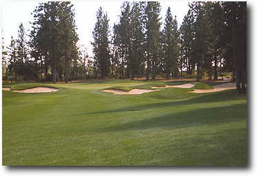 Widgi Creek #14: Hit your straightest club here and you'll be left with a short iron to this 3 tiered green.