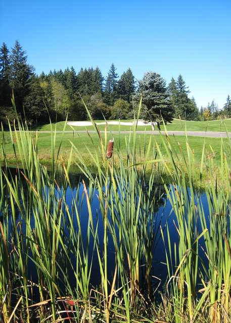 View of the 4th hole from the South course at The Reserve Vineyards & Golf Club