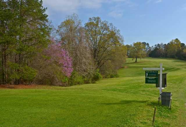 A view from tee #3 at Paschal Golf Club