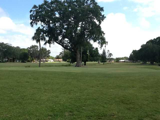 A view of a green at Village Green Golf Club