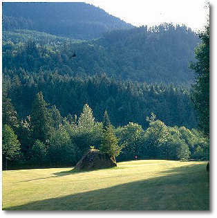 The Resort at The Mountain's signature hole, #1 Foxglove features a bus-sized monolithic boulder in the middle of the fairway. Many a golf ball has connected with this boulder, and many others have breathed a sigh of relief when avoiding it.