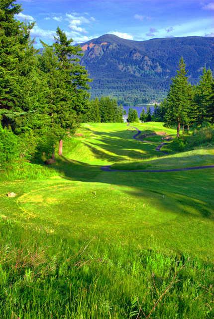 Skamania Lodge #4: One of the course signature holes. Beware of the infamous Columbia Gorge winds that will blow your shot offline. A strong drive will clear the hazards, but a smart play is to lay back even with the large tree, 150 yards from the green.