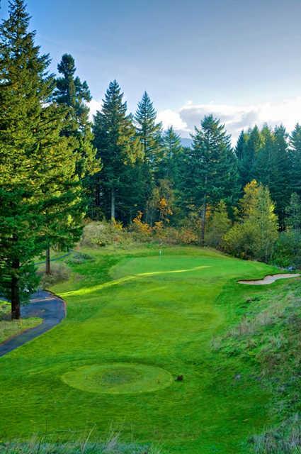 Skamania Lodge #6: Swirling winds can make this deceptively easy looking hole a bear. Club selection is very important, as you'll notice it's quite a drop from the tee. All in all, a shot that lands on the green is really very good!