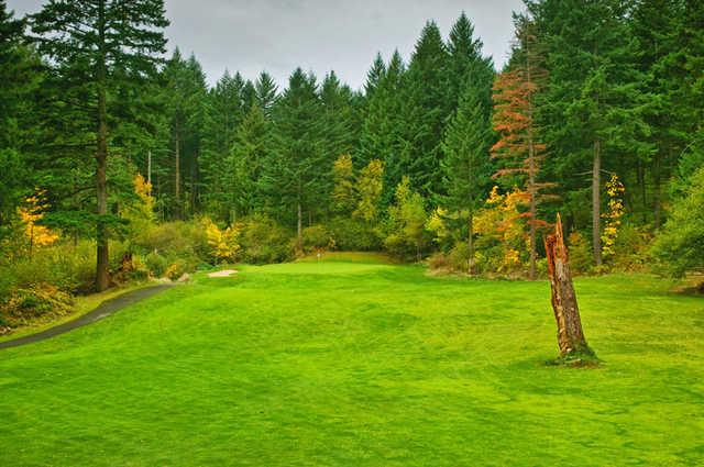 Skamania Lodge #5 - A good target is the large snag guarding the middle of the fairway. (Tell yourself that you hit a good shot if you actually hit the tree!) The landing area is actually quite large, and leaves a short iron approach shot.