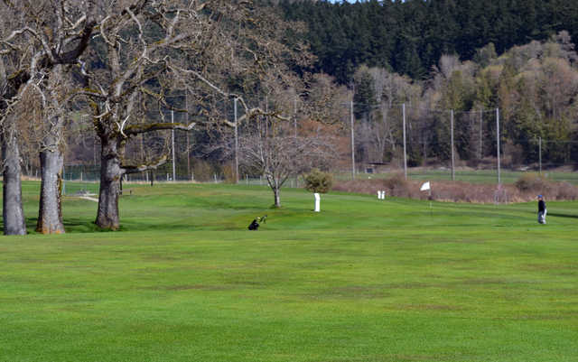 A view from Mount Douglas Golf Course