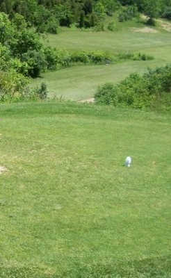 A view from Cedar Trace Golf Club