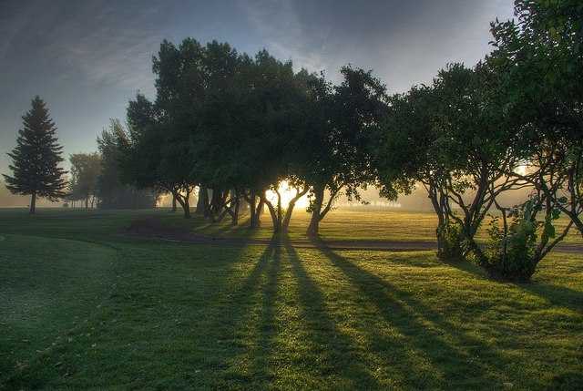 A sunrise view through the trees on the 1st and 8th holes at Edmonton Garrison Memorial Golf & Curling Club