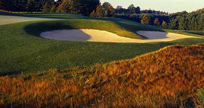 A sunny day view from Cobble Hills Golf Club