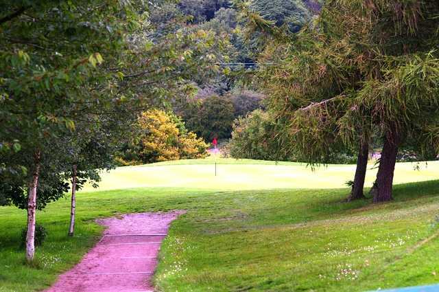 A view of a hole guarded by some trees at Beamish Park Golf Club