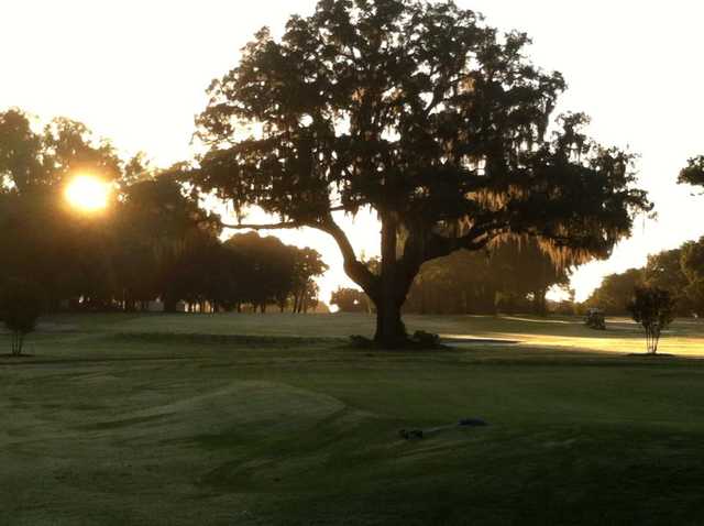 Water Oak Golf Club Reviews And Course Info Golfnow 2123