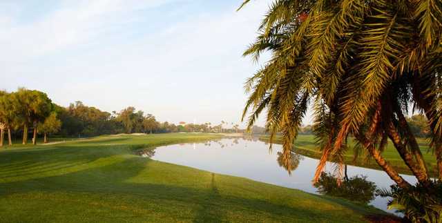 A view from Renaissance Vinoy Resort