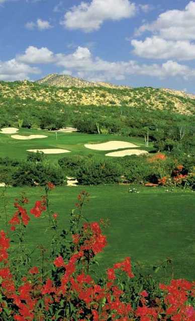 Cabo Real Golf Course. - Reviews & Course Info | GolfNow