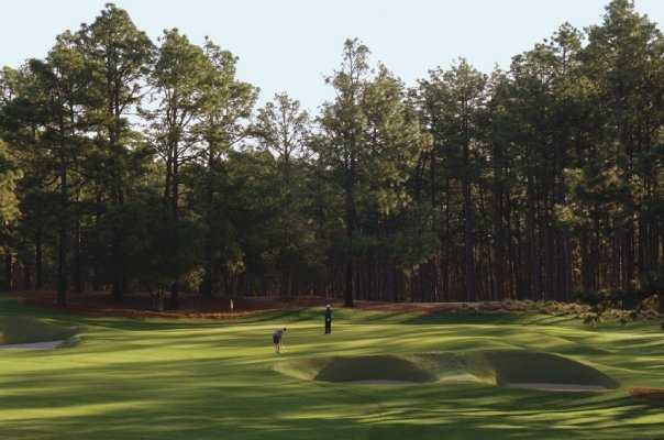 A view of hole #5 at Pine Needles Lodge & Golf Club