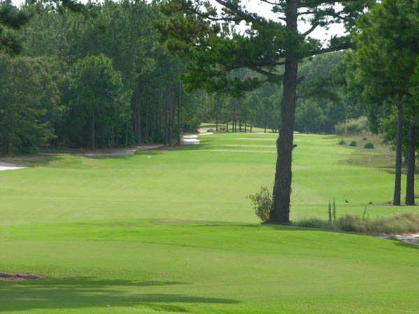 A view of a fairway at Pine Dunes Resort and Golf Club