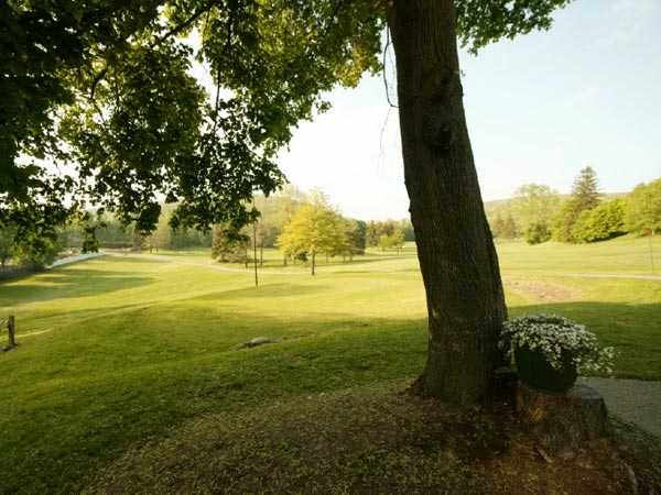 A view from Hornell Golf Club