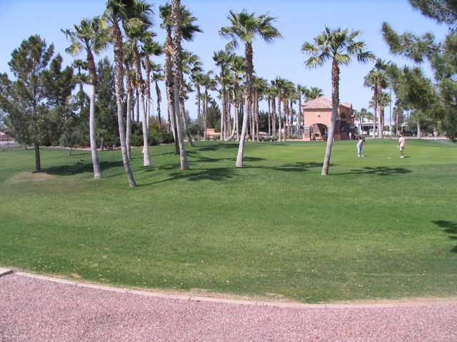 A view from Palm Creek Golf Club