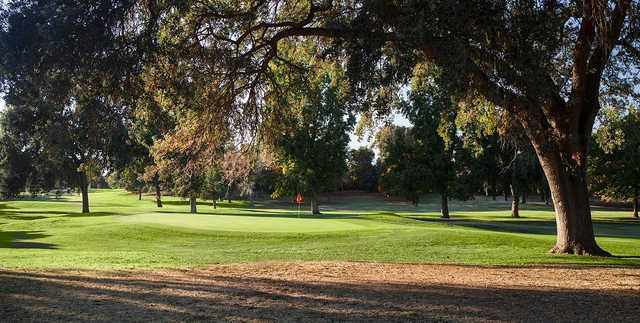 A view of a green at Dryden Park Golf Course