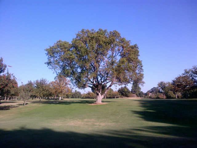 A view from Dryden Park Golf Course