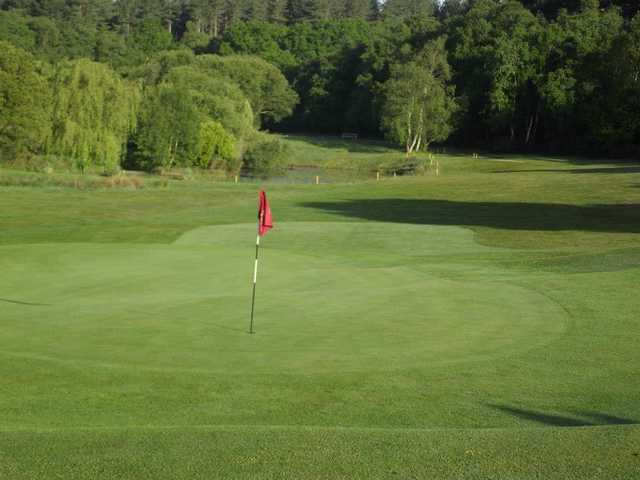A view of a green at Wareham Golf Club