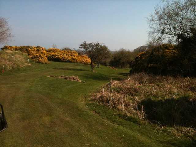 A view from Clandeboye Golf Club