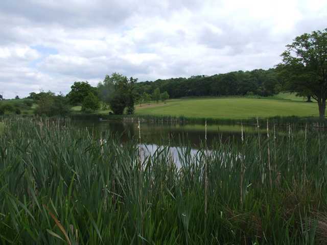 A view over the water from Raglan Country Estate