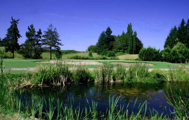 A view over a pond of a green surrounded by bunkers at Cedars on Salmon Creek