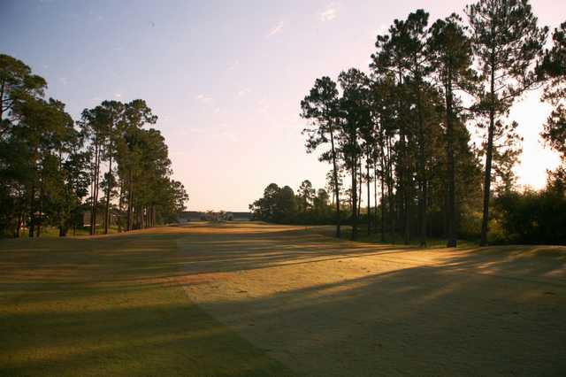 A view of a fairway at Tampa Bay Golf & Country Club