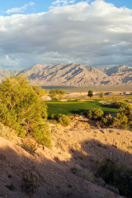 Palms GC: 14th tee