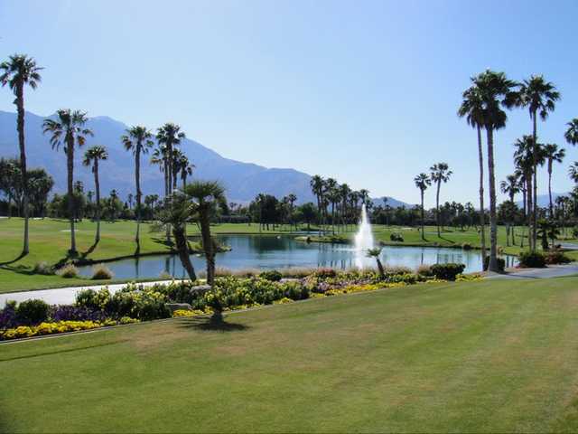 A view from Desert Princess Country Club