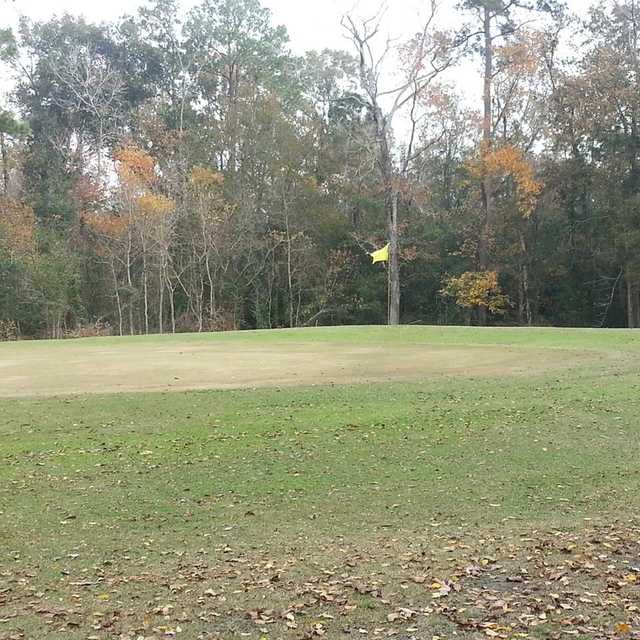 View of a green at Indian Shores Golf Course