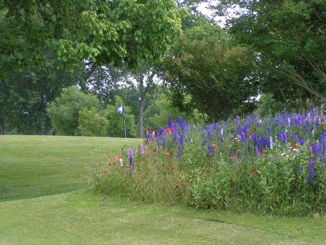 A view from Pecan Hollow Golf Course