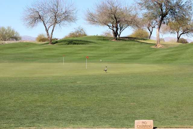A view of the practice area at Falcon Dunes Golf Course