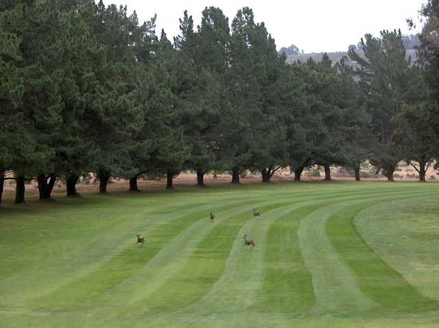 A view of a fairway at Marshallia Ranch Golf Course