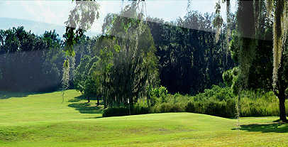 A view from Abbey Course At St. Leo University