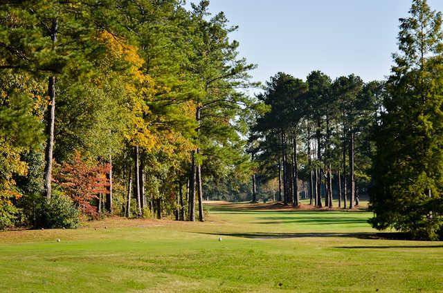 A view from a tee at Moree's Cheraw Country Club