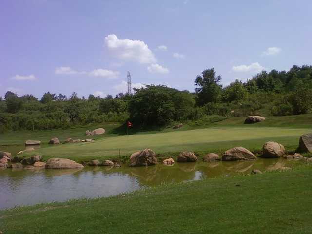 A view of a green at Harry L. Jones Sr. Golf Course