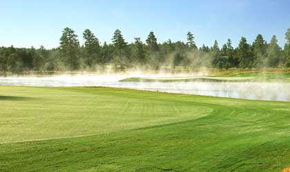 A view from Meadow at Forest Highlands Golf Club