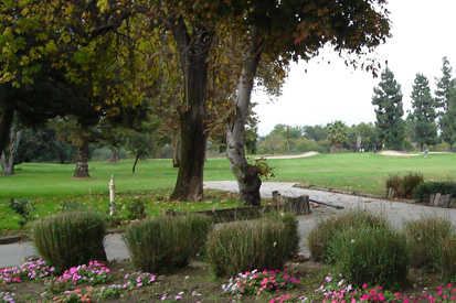 A view from Whittier Narrows Golf Course (Parks LA County)