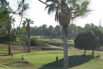 A view of a green at Brea Creek Golf Course