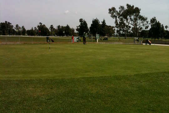 A view from Alondra Park Golf Course