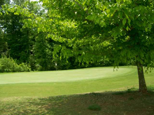 A view of a green at Williams Creek Golf Course