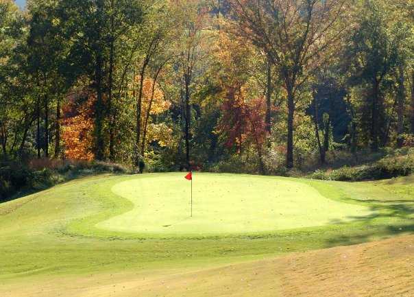 A view of the 7th green at Williams Creek Golf Course