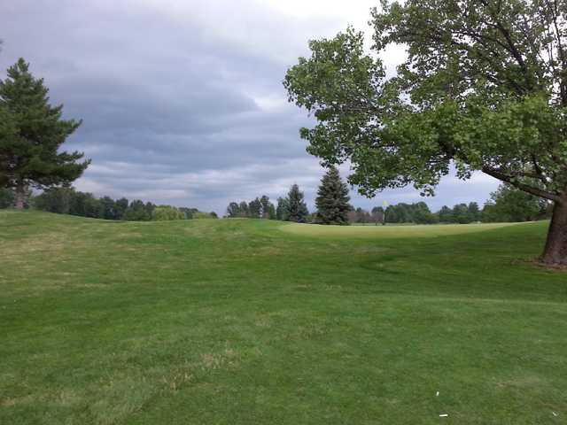 A view from Shamrock Golf Club (Swingbyswing)