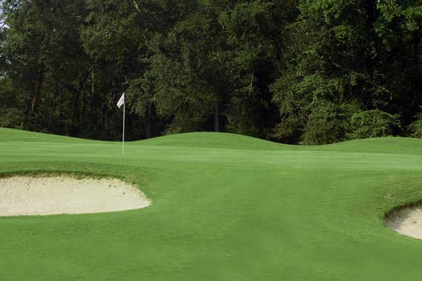 A view of a green flaked by bunkers at Griffin Bell Golf & Conference Center