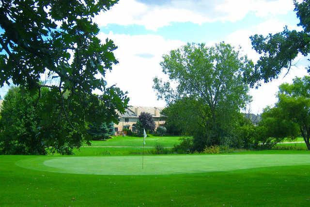 A view of a hole at Carriage Greens Country Club